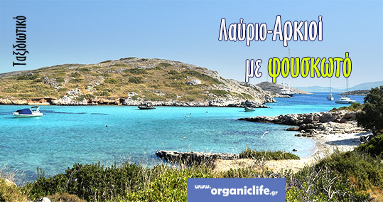 arkioi-banner