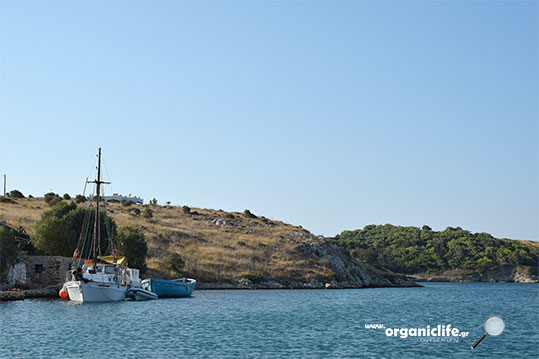 arkioi-k-s