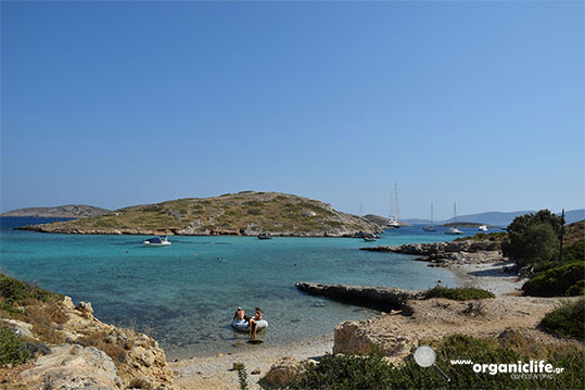 arkioi-tiganakia