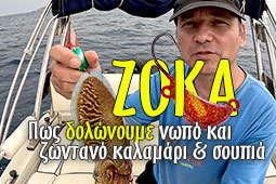 zoka-dolonoume-kalamari-soupia-9