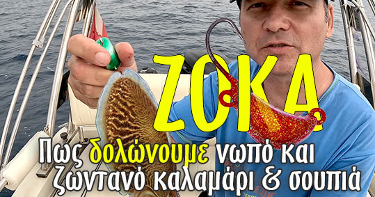 zoka-dolonoume-kalamari-soupia