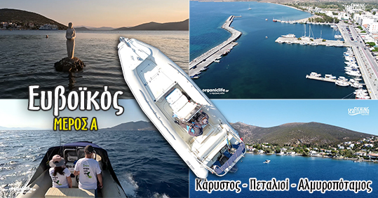 08 euboikos