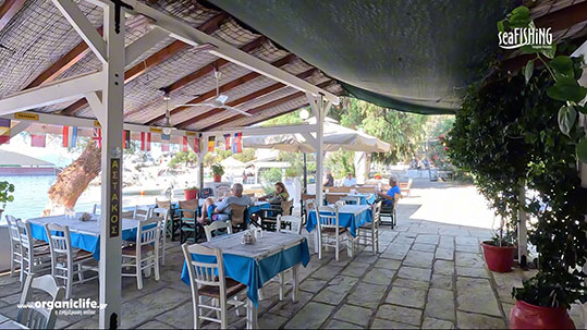 palaio-trikeri-3