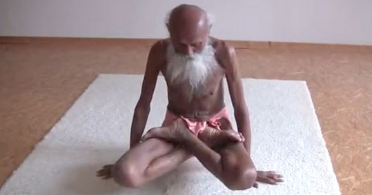 26-yogi
