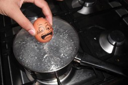 eggs_9x6