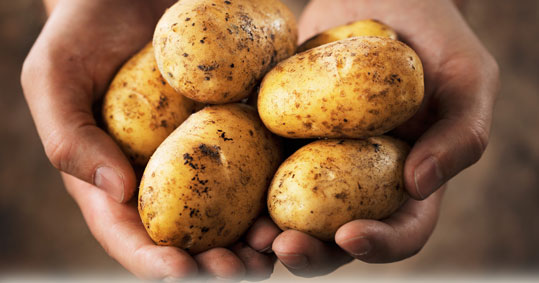 11-patates