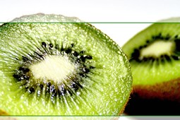 kiwi_9