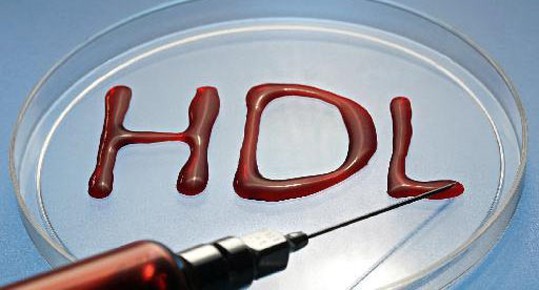 hdl_19