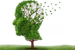 10-alzheimer-9