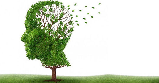 10-alzheimer