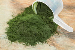 04-spirulina-9