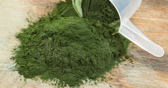 04-spirulina
