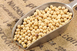 02-soya-9