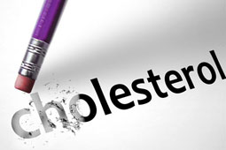 16-xolisterini-9