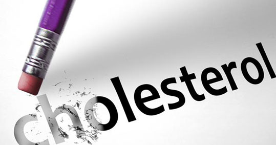16-xolisterini