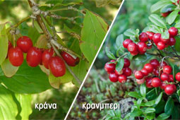 08-krana-9