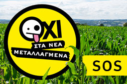 21-metalagmena-9