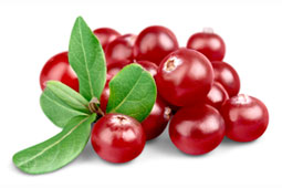 26-cranberry-9
