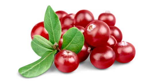 26-cranberry