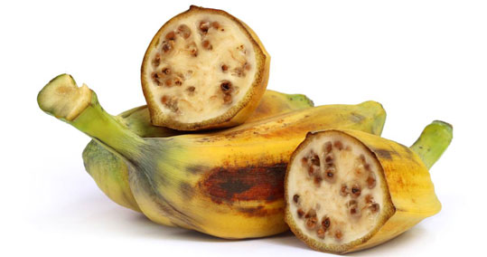 16-babanes