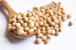 30-soya-9