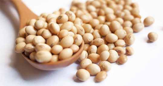 30-soya