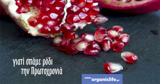 rodi-protoxronia