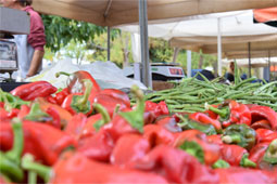 20-biologikes-laikes-9