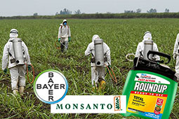 06-bayer-9