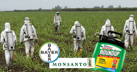 06-bayer