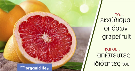14 ekxylisma-sporon-grapefruit-bio