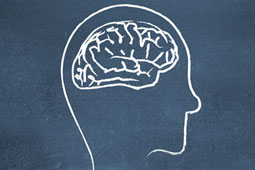 22-brain-9