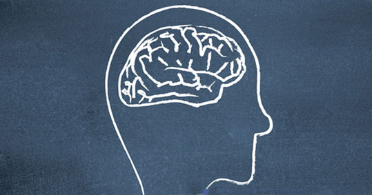 22-brain
