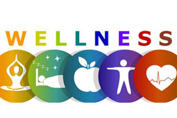 28-wellness-9