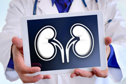 02-nefrou-karkinos-9