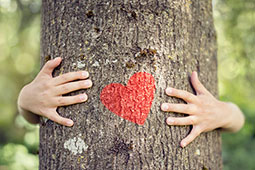 27-klimatiki-allagi-9