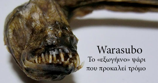 27-warasubo