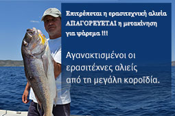 24-psarema-9