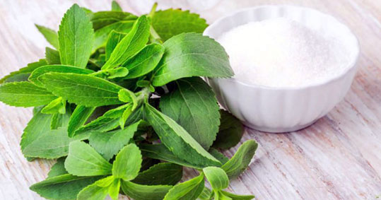 19-stevia