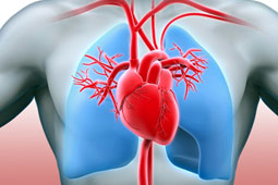 03-pneumoniki-9