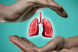 16-pneumones-9
