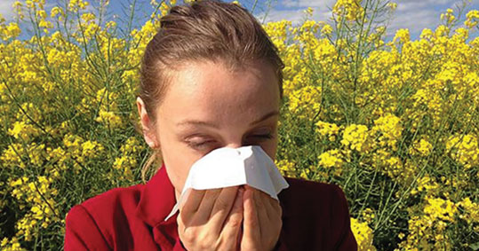 04-allergies