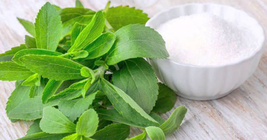 16-stevia